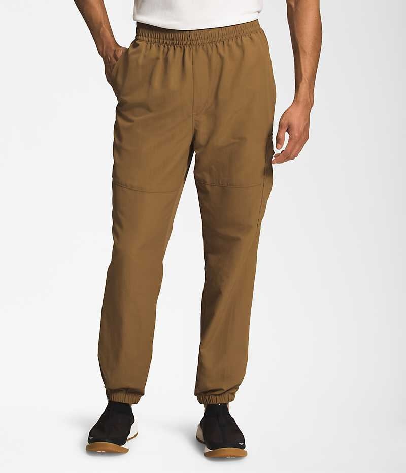 Pantalon The North Face TNF™ Nylon Easy Homme Marron | FR RDPLO