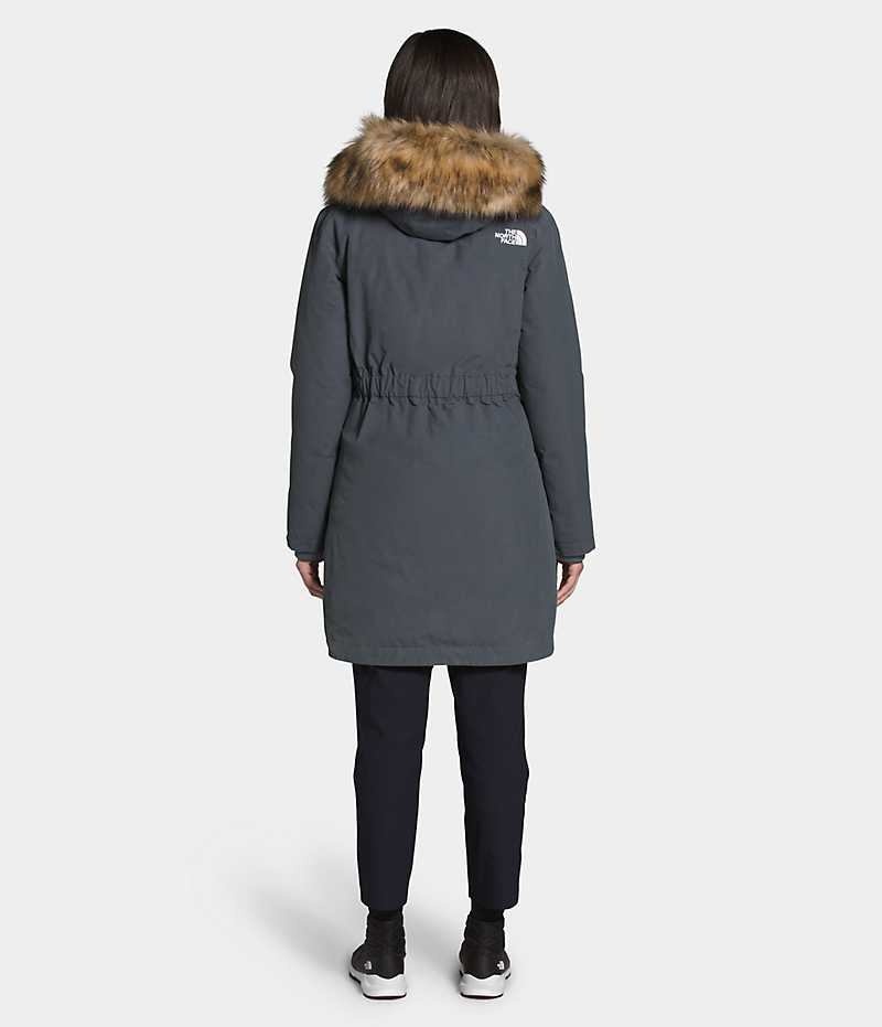 Parka The North Face Arctic Femme Grise | FRANCE RTMZY