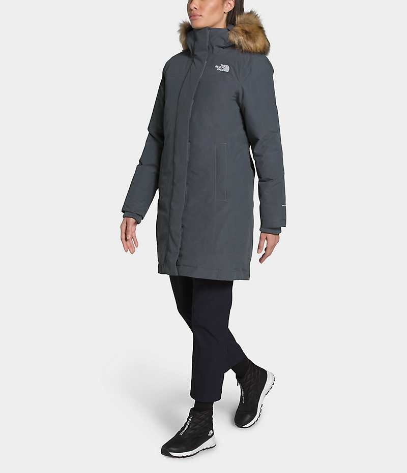 Parka The North Face Arctic Femme Grise | FRANCE RTMZY