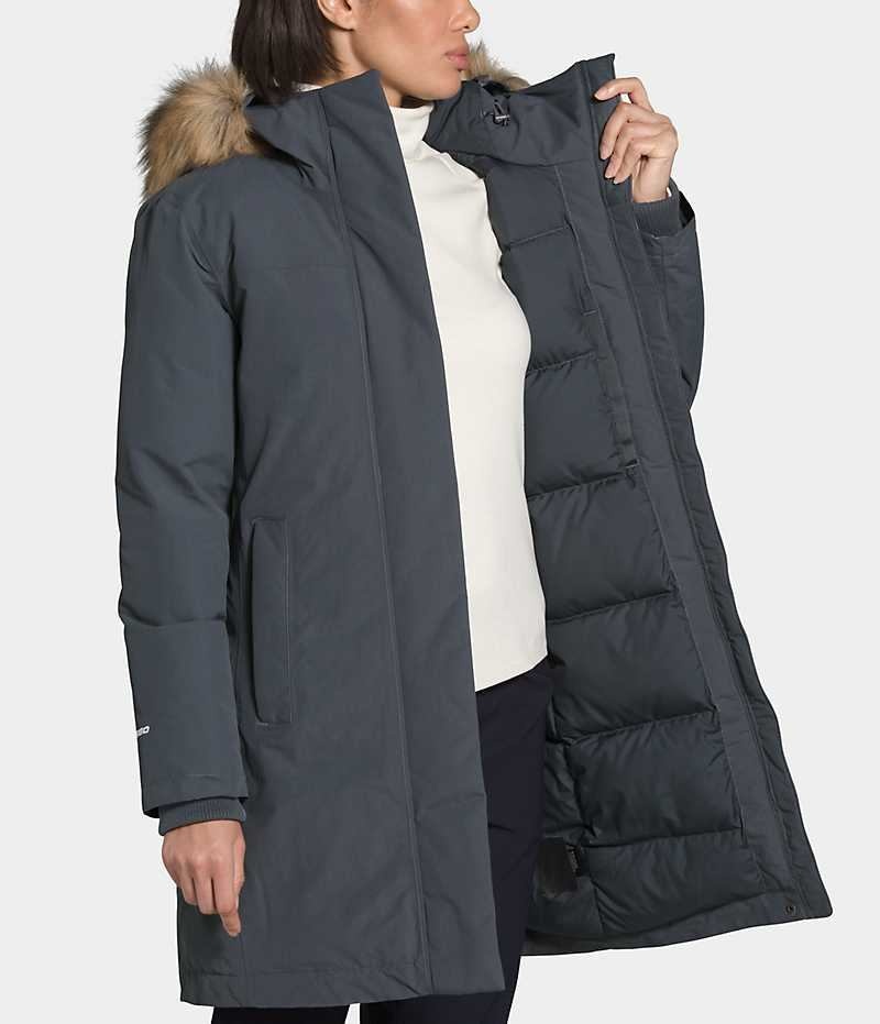 Parka The North Face Arctic Femme Grise | FRANCE RTMZY