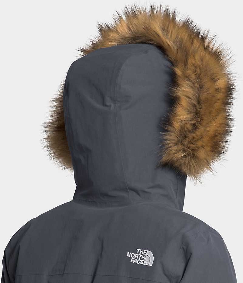 Parka The North Face Arctic Femme Grise | FRANCE RTMZY