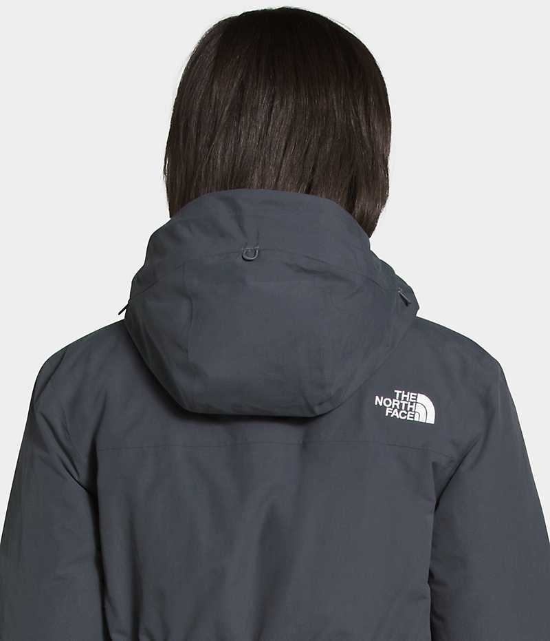 Parka The North Face Arctic Femme Grise | FRANCE RTMZY