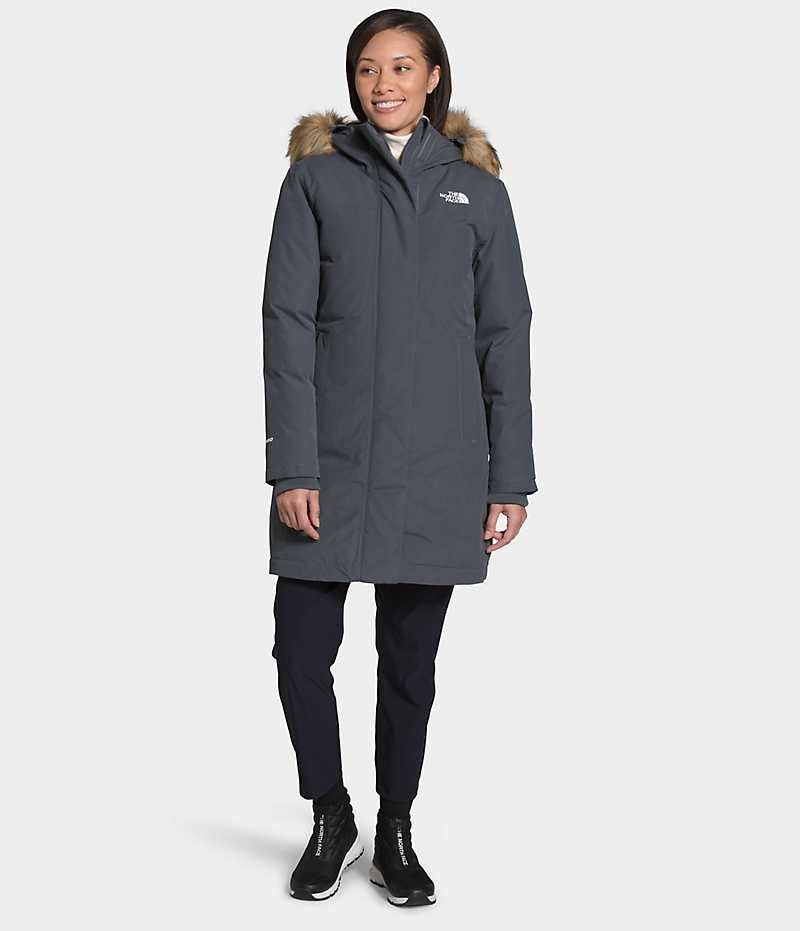 Parka The North Face Arctic Femme Grise | FRANCE RTMZY