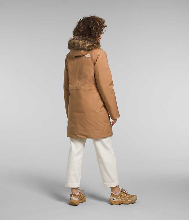 Parka The North Face Arctic Femme Marron | FR KWUEF