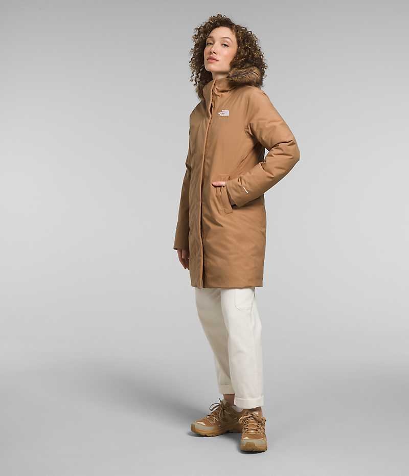 Parka The North Face Arctic Femme Marron | FR KWUEF