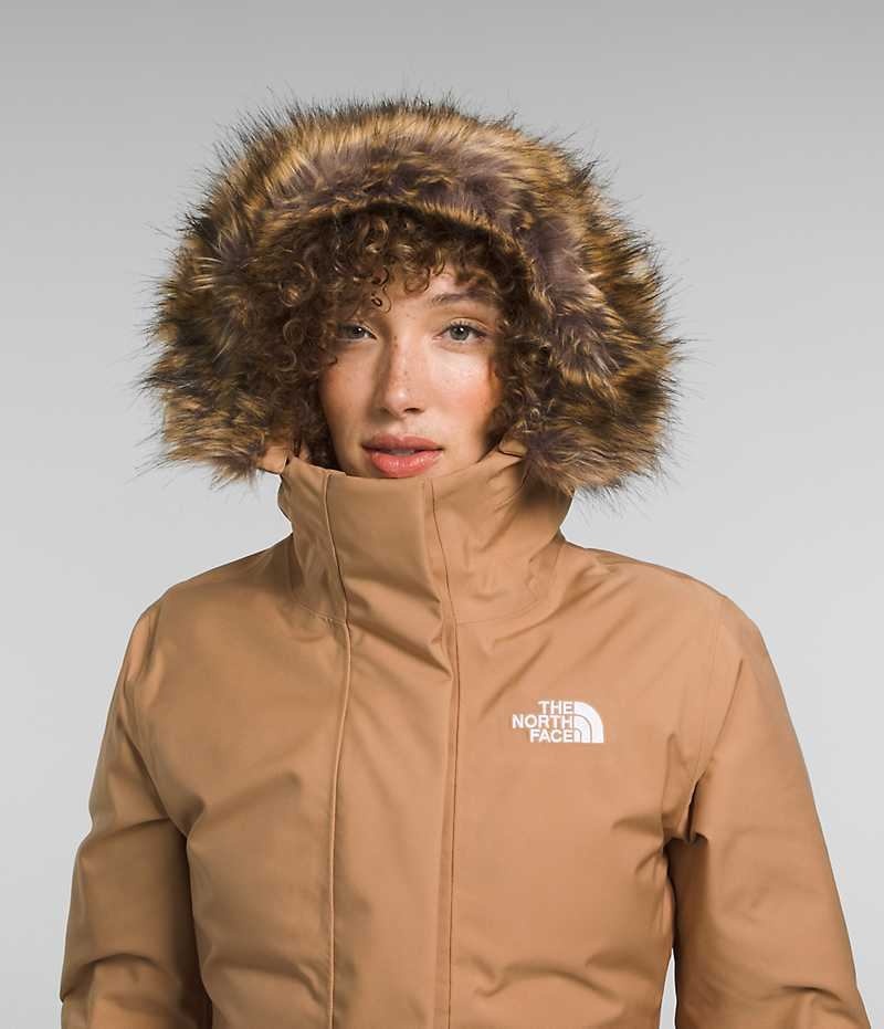 Parka The North Face Arctic Femme Marron | FR KWUEF