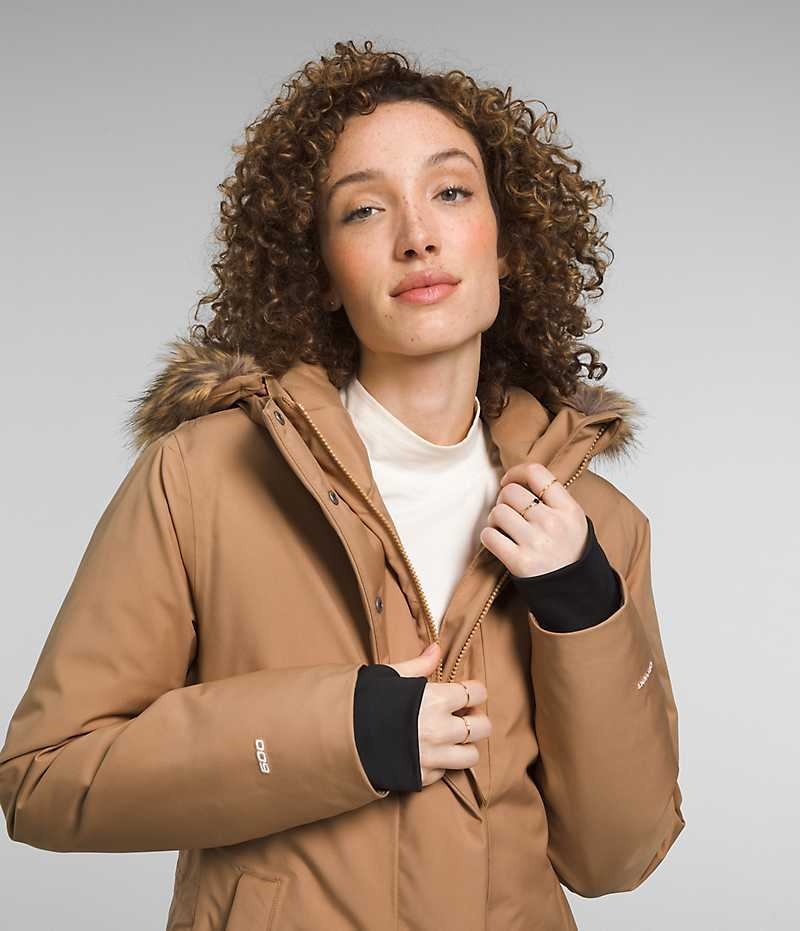 Parka The North Face Arctic Femme Marron | FR KWUEF