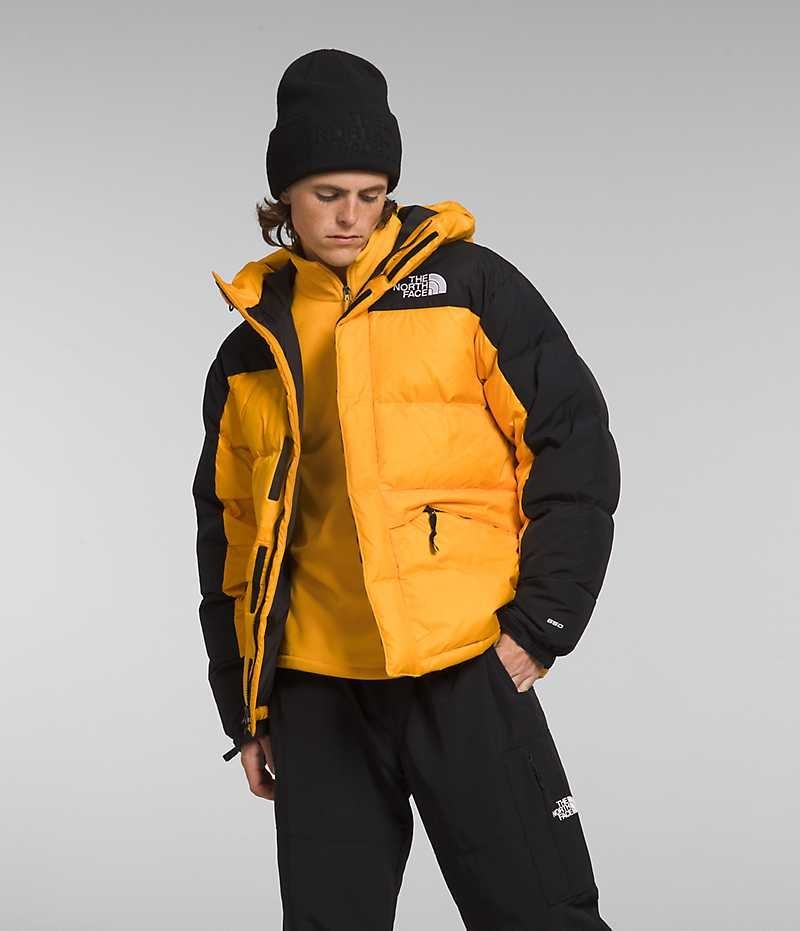 Parka The North Face HMLYN Down Homme Doré Noir | FRANCE PJTQI