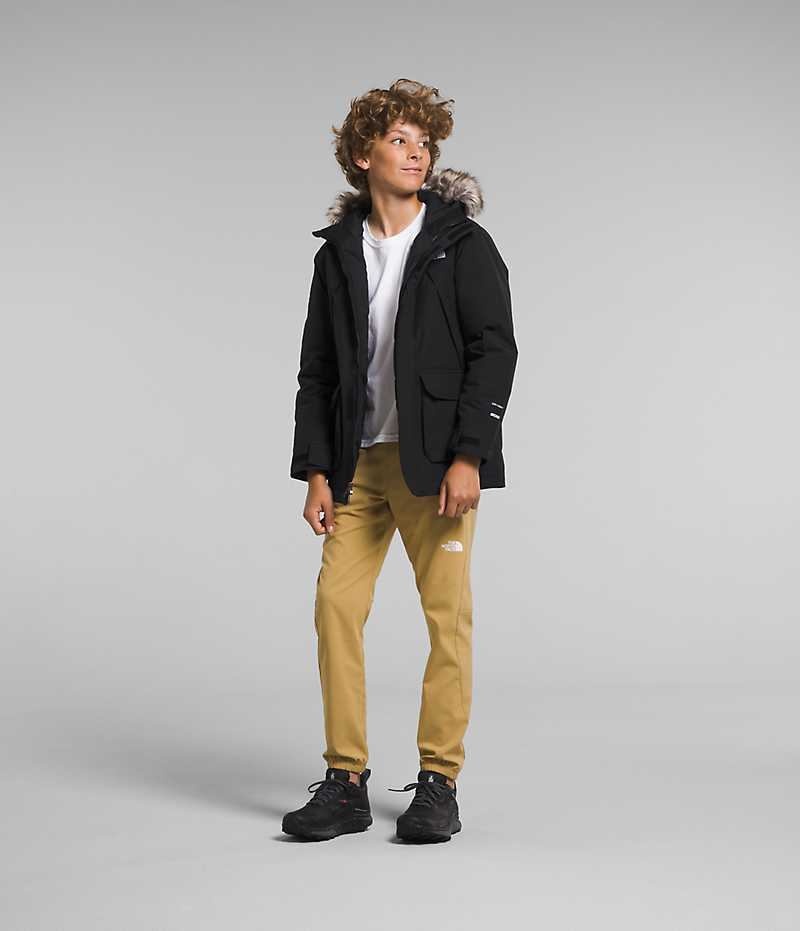 Parka The North Face McMurdo Garcon Noir | FR BJDAY