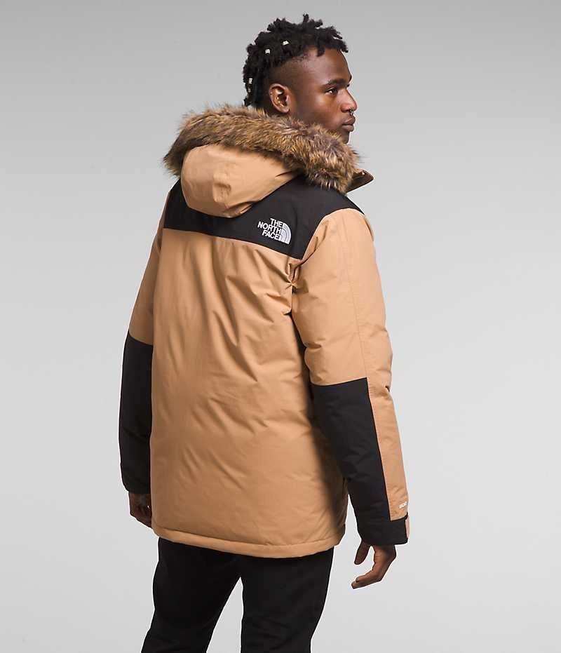 Parka The North Face McMurdo Homme Beige | FRANCE GPRLC