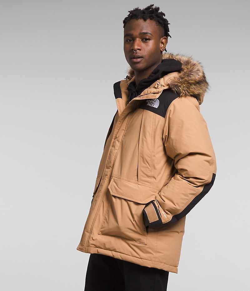 Parka The North Face McMurdo Homme Beige | FRANCE GPRLC