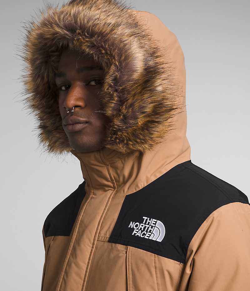 Parka The North Face McMurdo Homme Beige | FRANCE GPRLC