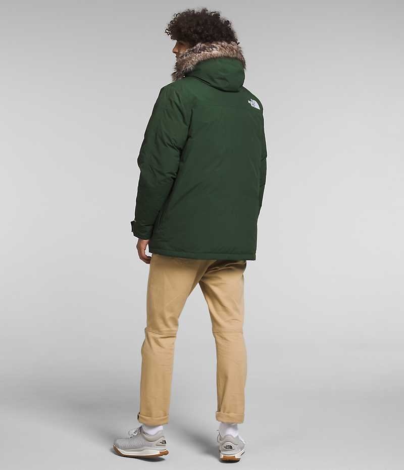 Parka The North Face McMurdo Homme Vert | FR JXSLA