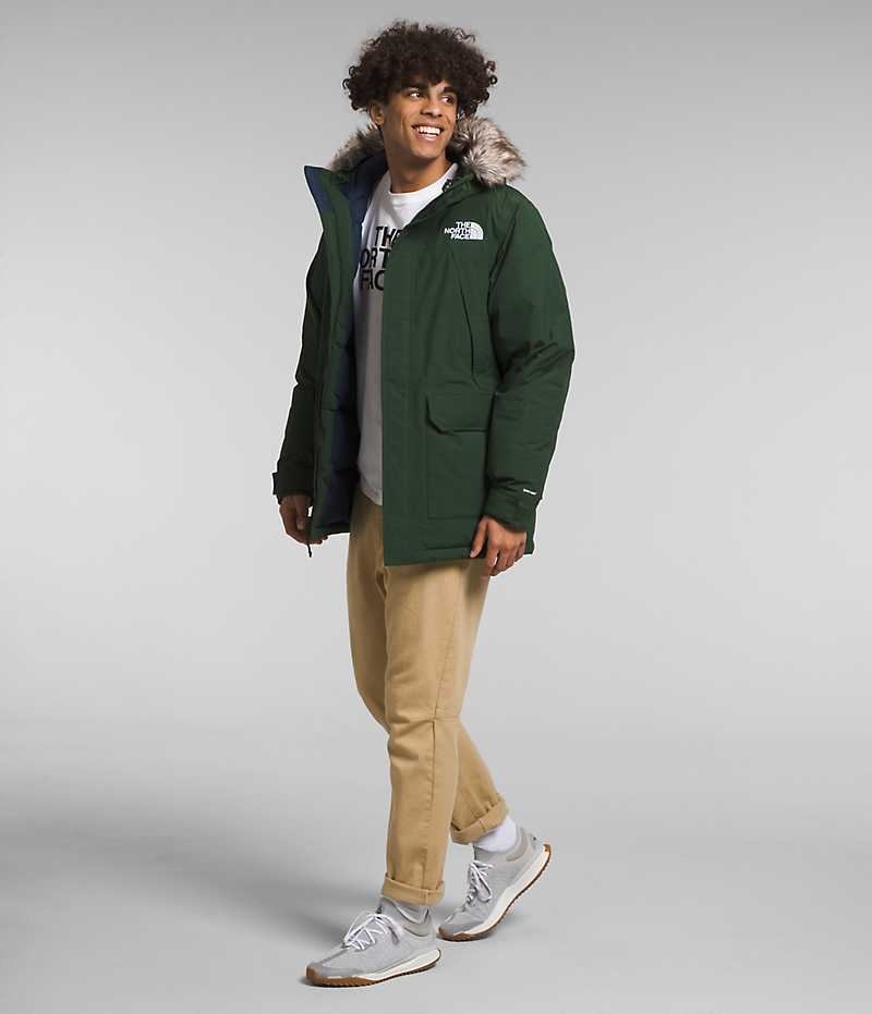 Parka The North Face McMurdo Homme Vert | FR JXSLA