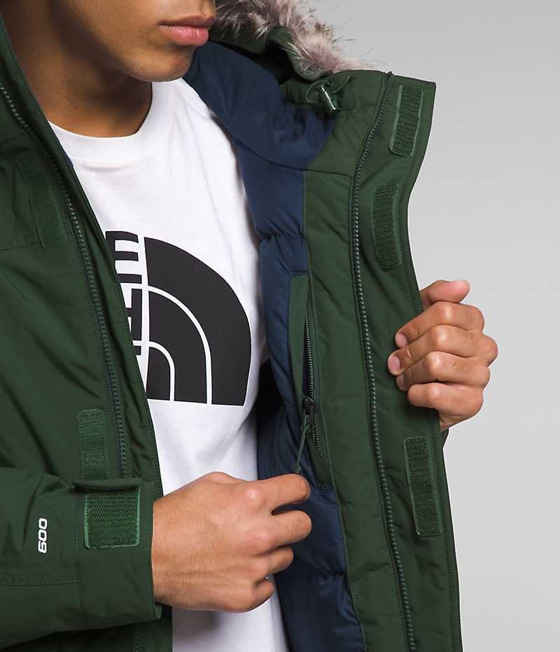 Parka The North Face McMurdo Homme Vert | FR JXSLA