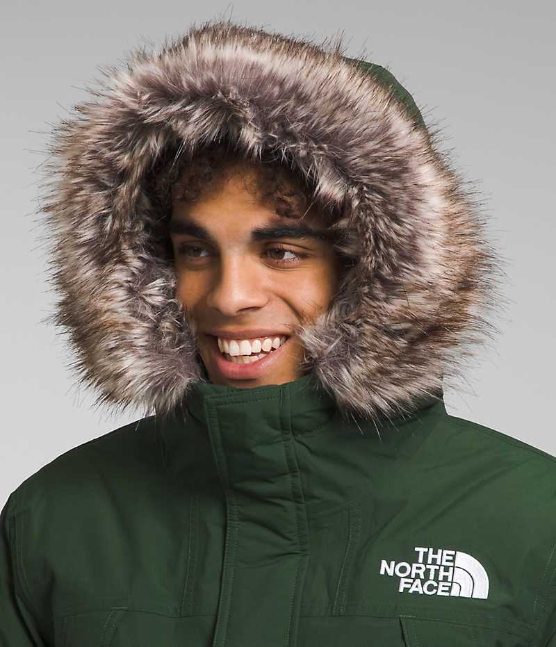 Parka The North Face McMurdo Homme Vert | FR JXSLA