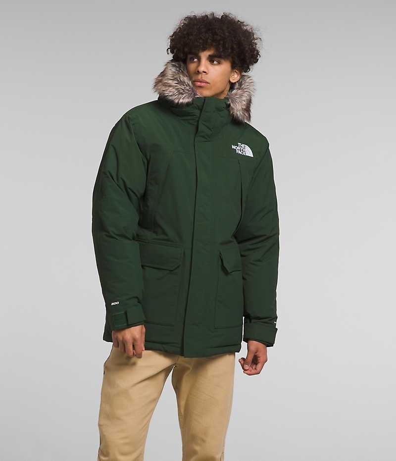 Parka The North Face McMurdo Homme Vert | FR JXSLA