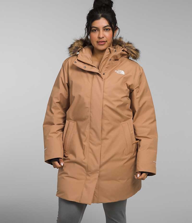 Parka The North Face Plus Arctic Femme Marron | FRANCE BNVPG