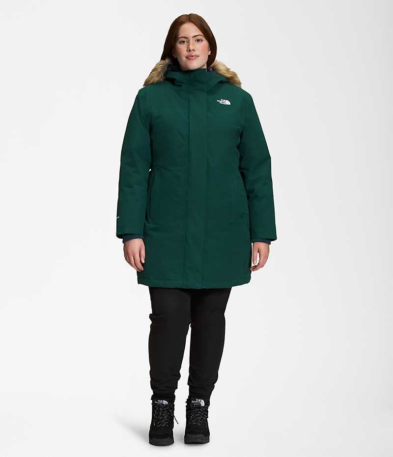 Parka The North Face Plus Arctic Femme Vert | PARIS UKNRF