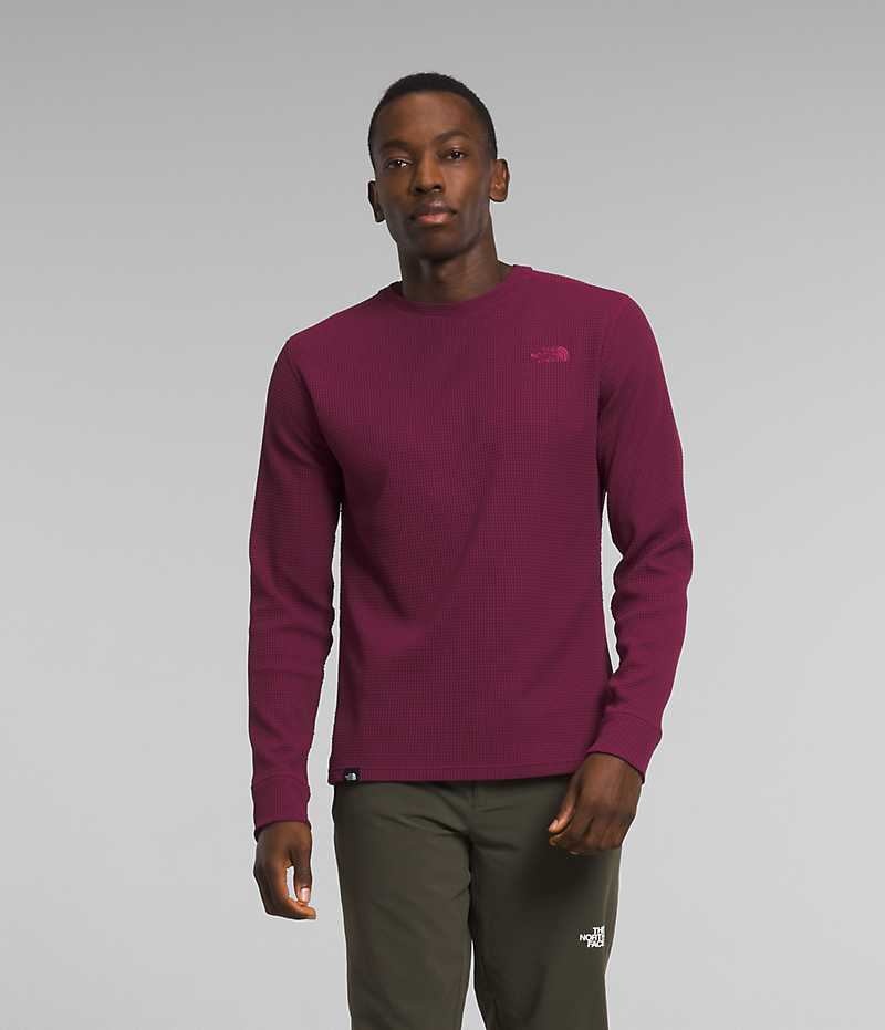 Pulls De Golf The North Face Canyon Fog Thermal Long Sleeve Homme Fushia | PARIS HZKND