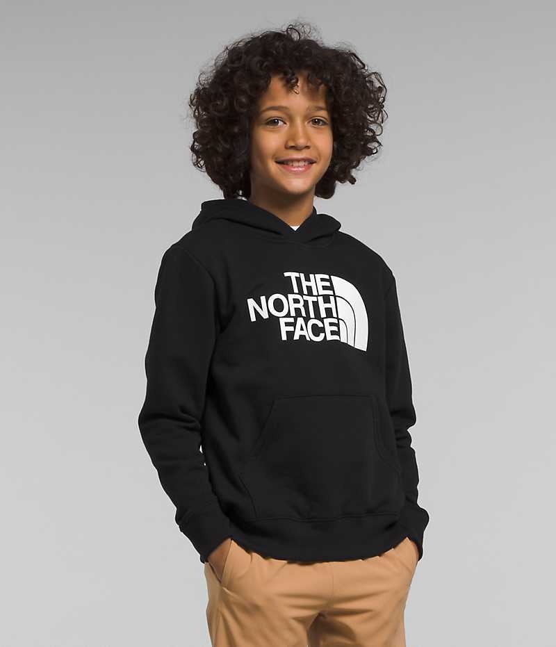 Sweat a Capuche The North Face Camp Fleece Pullover Garcon Noir | FRANCE YTXCZ