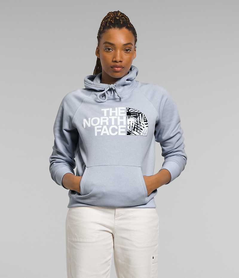 Sweat a Capuche The North Face Half Dome Pullover Femme Bleu | PARIS ISATJ