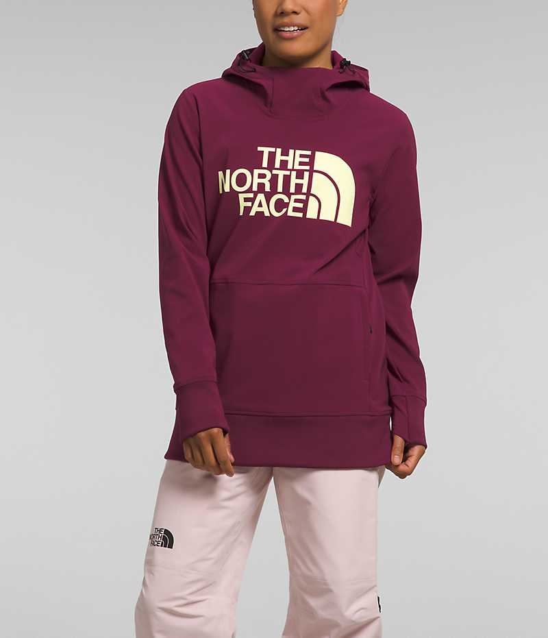 Sweat a Capuche The North Face Tekno Pullover Femme Fushia | FR HDWUF