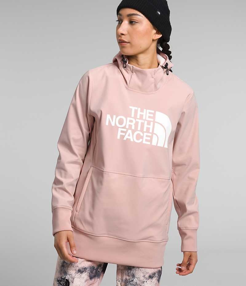 Sweat a Capuche The North Face Tekno Pullover Femme Rose | FRANCE BJCMA