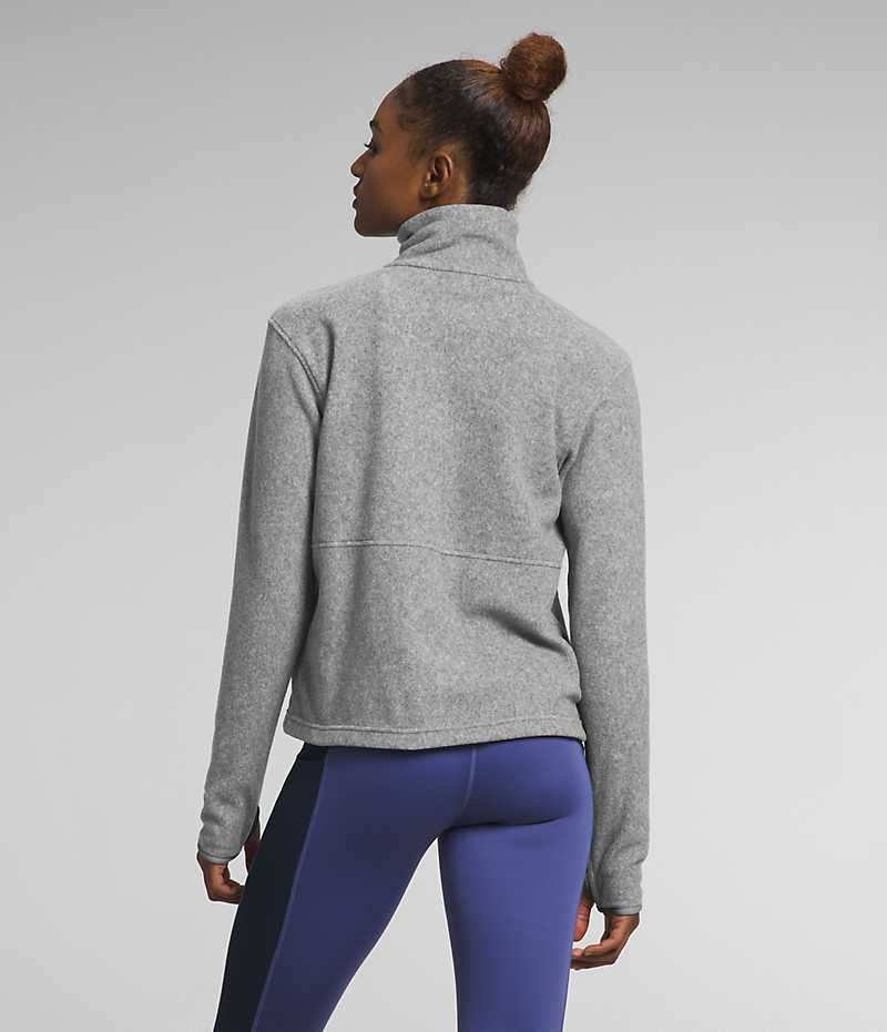 Sweatshirt The North Face Alpine Polartec® 100 ¼-Zip Cowl Femme Grise | PARIS BINXK