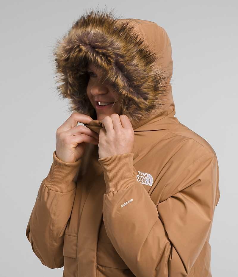 Veste Bomber The North Face Arctic Femme Marron | FRANCE BTJIV