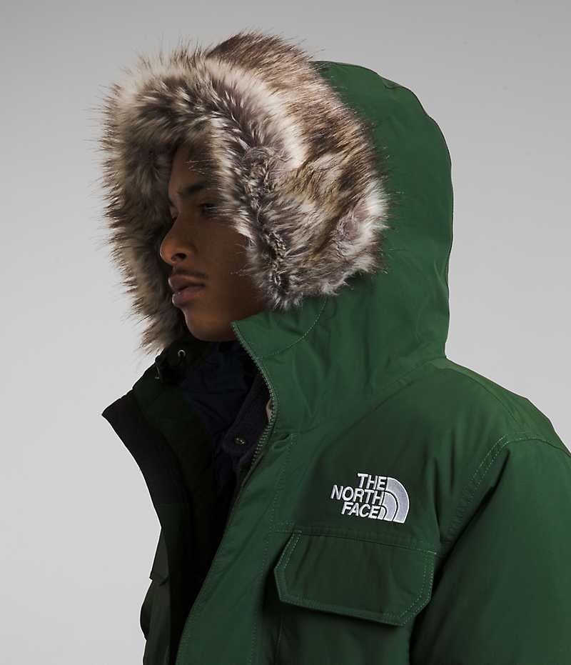 Veste Bomber The North Face McMurdo Homme Vert | FRANCE PAHSJ