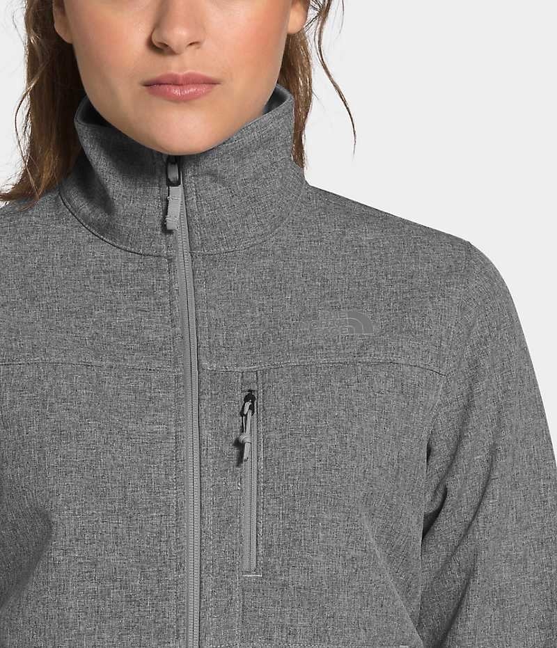 Veste Softshell The North Face Apex Bionic Femme Grise | FR QJNMB