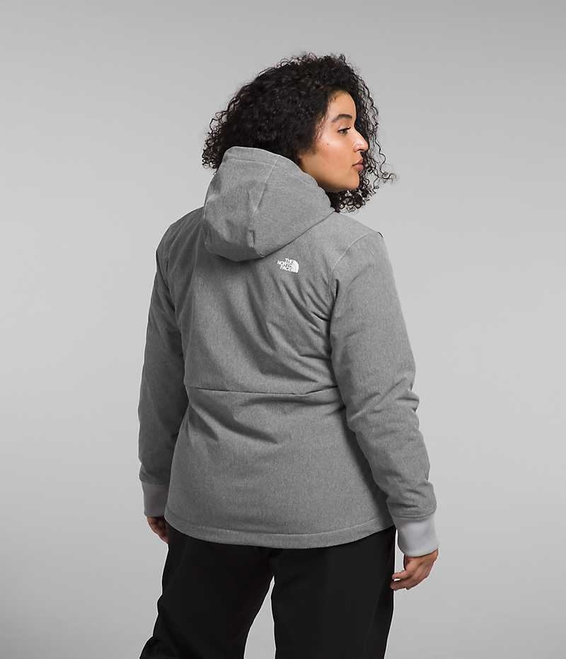 Veste Softshell The North Face Plus Shelbe Raschel Hoodie Femme Grise | FR RAYMZ