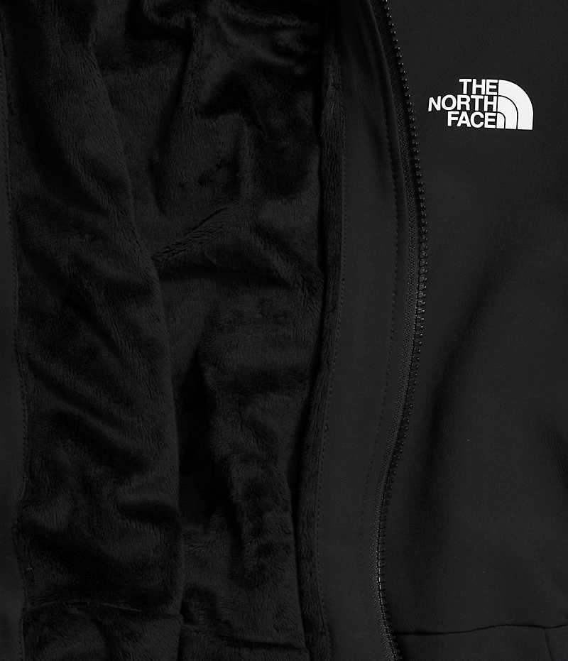 Veste Softshell The North Face Plus Shelbe Raschel Hoodie Femme Noir | FRANCE LOTCF