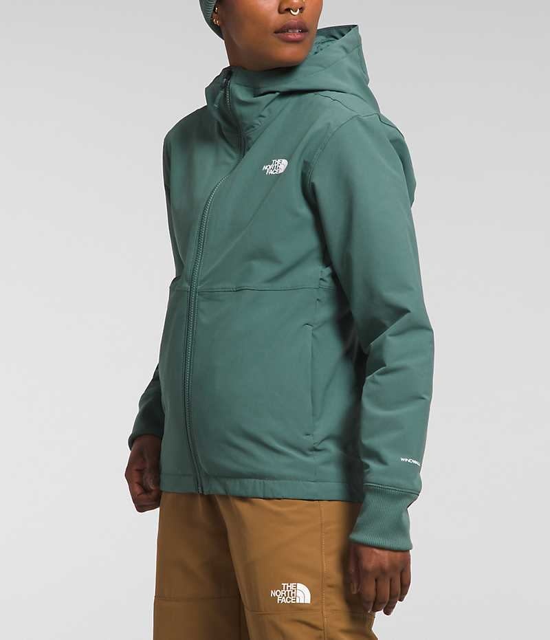 Veste Softshell The North Face Shelbe Raschel Hoodie Femme Vert | FR REUWJ