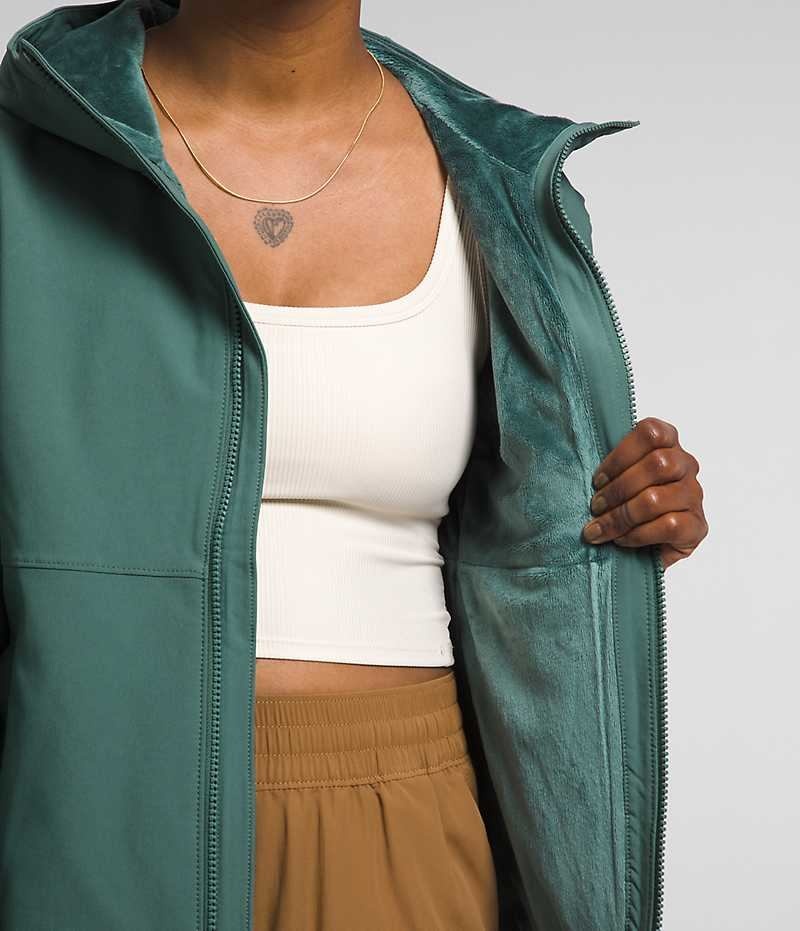 Veste Softshell The North Face Shelbe Raschel Hoodie Femme Vert | FR REUWJ