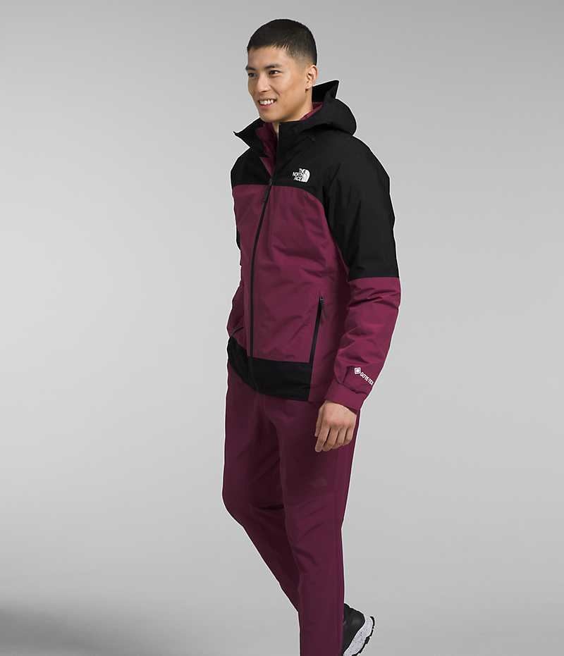 Veste À Capuche The North Face Mountain Light Triclimate® GTX Homme Fushia | FRANCE AXLJC