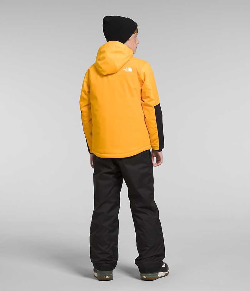 Vestes Isolées The North Face Freedom Extreme Garcon Doré | FR SGPJI