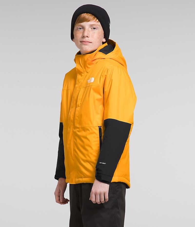 Vestes Isolées The North Face Freedom Extreme Garcon Doré | FR SGPJI