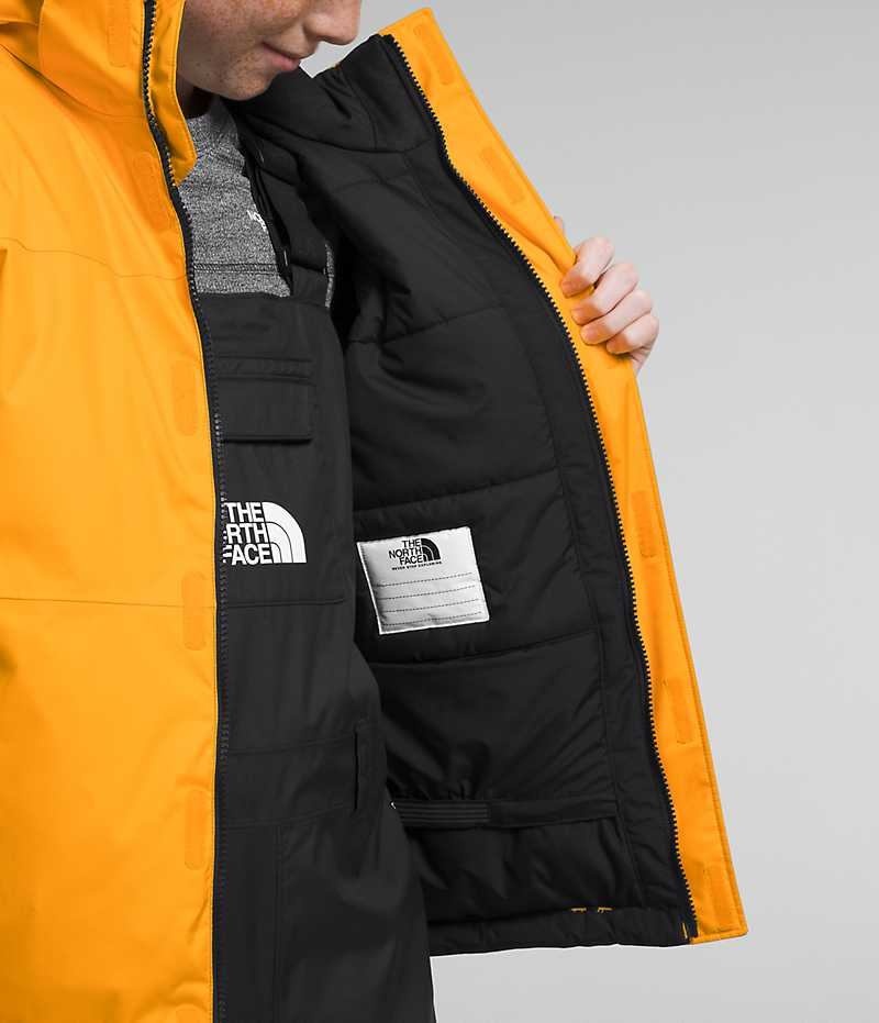 Vestes Isolées The North Face Freedom Extreme Garcon Doré | FR SGPJI