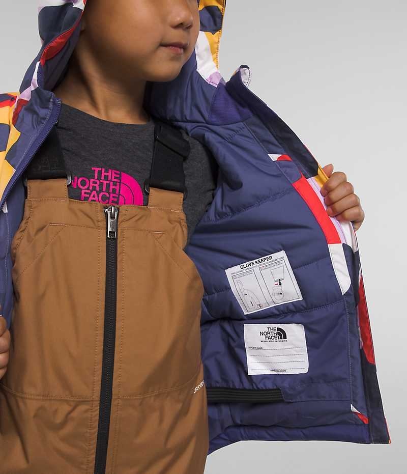 Vestes Isolées The North Face Freedom Garcon Multicolore | PARIS PFZSM