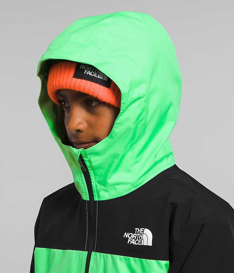 Vestes Isolées The North Face Freedom Triclimate® Garcon Vert Noir | PARIS RJUZQ