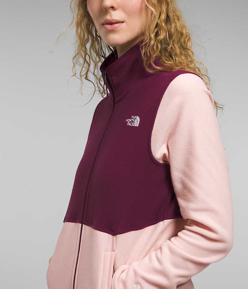 Vestes Polaires The North Face Alpine Polartec® 100 Femme Rose | FRANCE NABLY