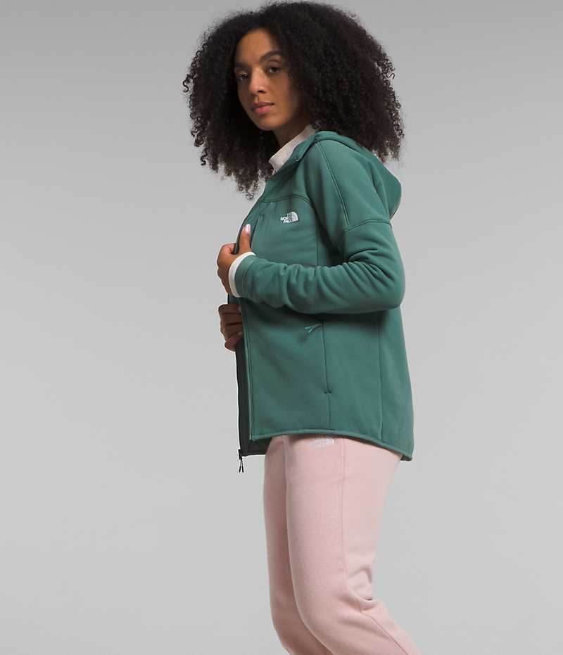 Vestes Polaires The North Face Canyonlands High Altitude Hoodie Femme Vert | PARIS OVYZF