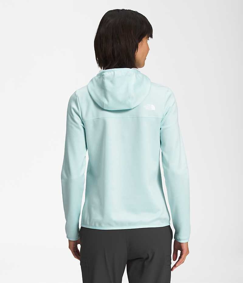 Vestes Polaires The North Face Canyonlands Hoodie Femme Bleu Clair | FR ZOTNS