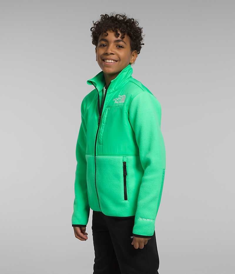 Vestes Polaires The North Face Denali Garcon Vert | PARIS UKXNB