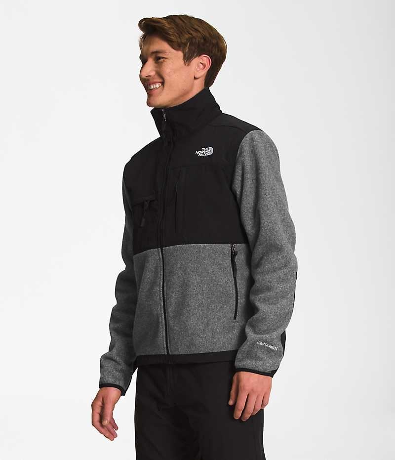 Vestes Polaires The North Face Denali Homme Grise | FR SEQJV