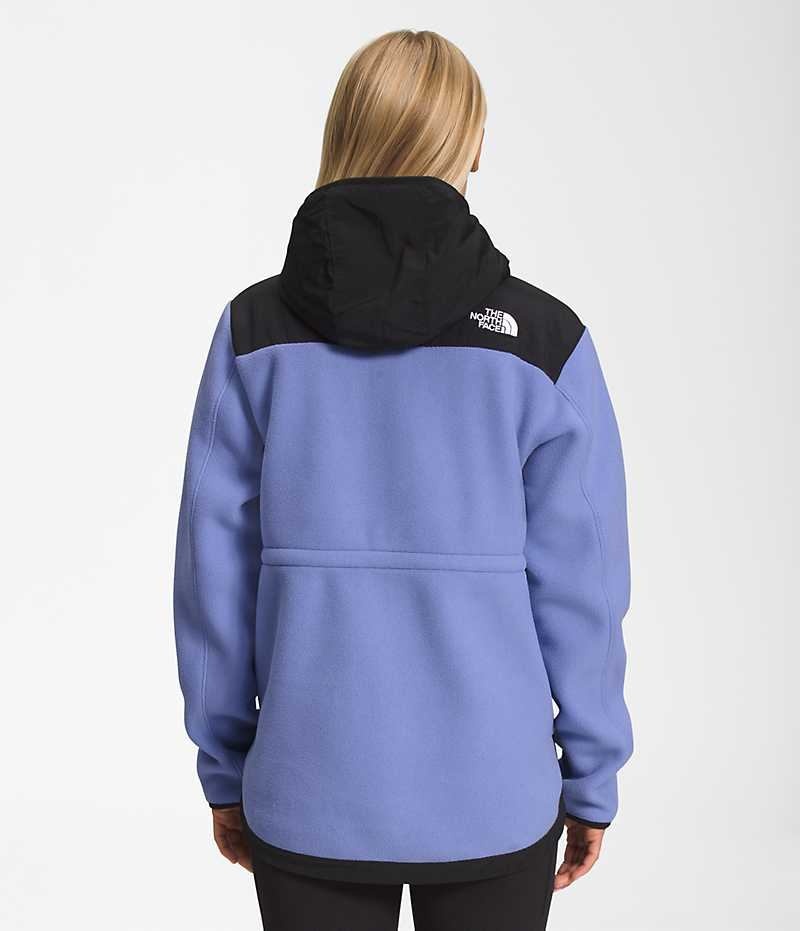 Vestes Polaires The North Face Denali Hoodie Femme Noir Bleu | FRANCE KHORZ