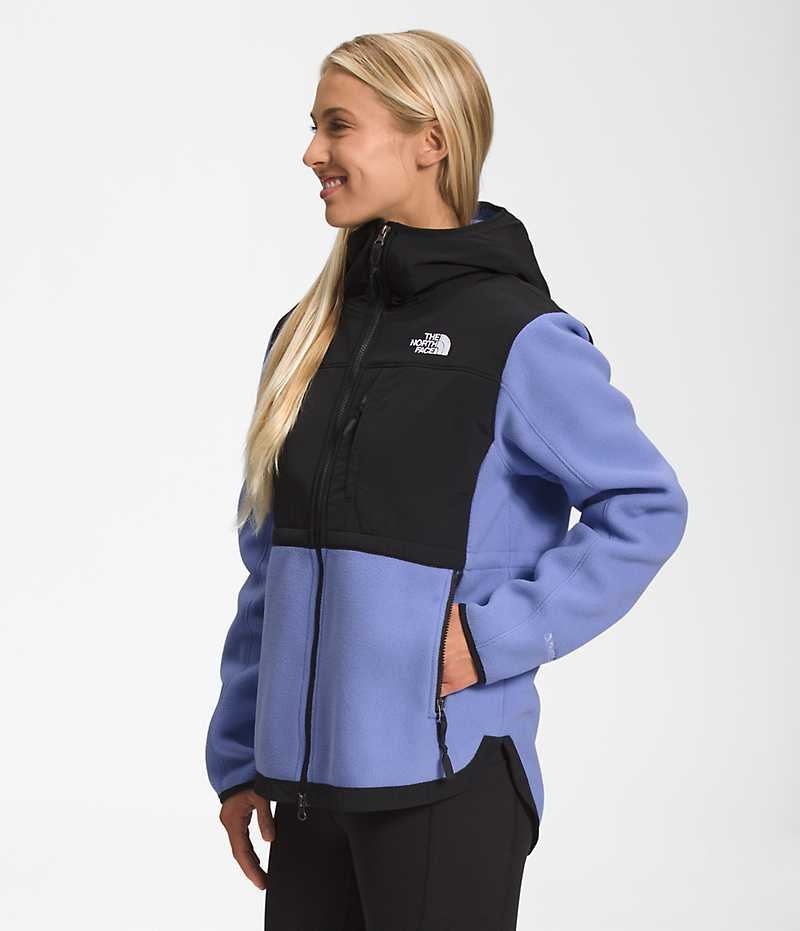 Vestes Polaires The North Face Denali Hoodie Femme Noir Bleu | FRANCE KHORZ