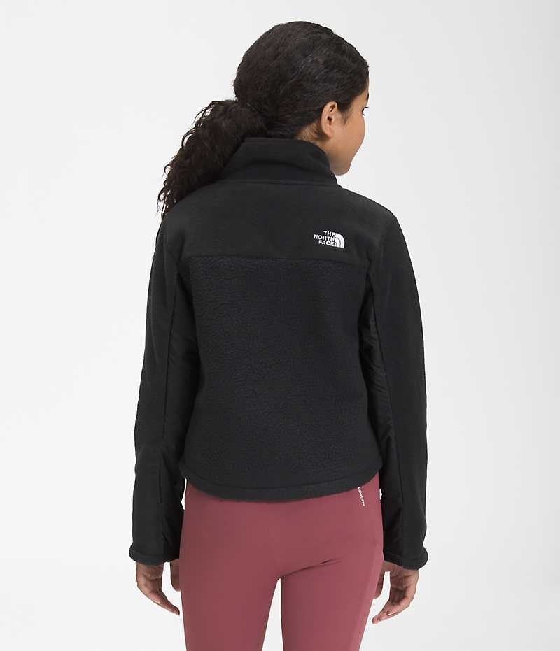 Vestes Polaires The North Face Fleece Mashup Fille Noir | PARIS RLTKH